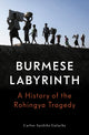 Book cover of: Burmese Labyrinth. By: Carlos Sardina Galache