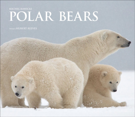 Book cover of: Polar Bears. By: Michel Rawicki