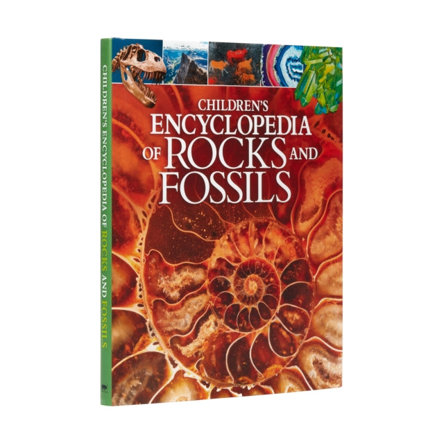 Book cover of: Children's Encyclopedia of Rocks and Fossils. By: Claudia Martin