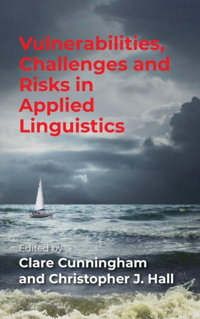 Book cover of: Vulnerabilities, Challenges and Risks in Applied Linguistics. By: Hall CUNNINGHAM