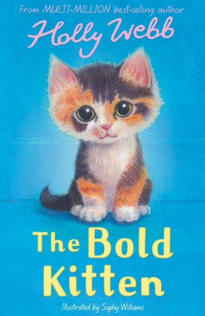 Bold Kitten 9781788957397 Holly Webb
