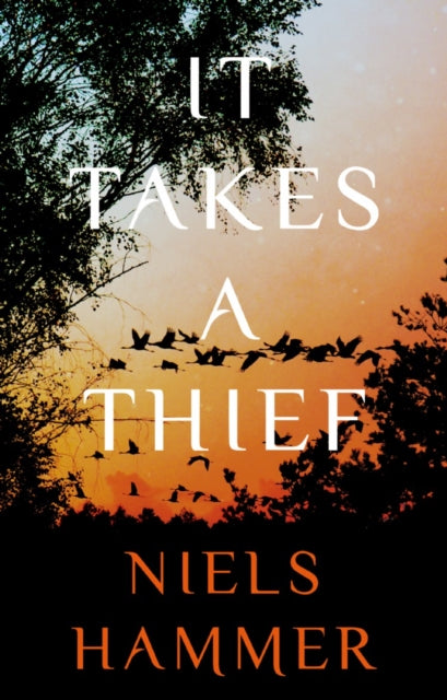 Book cover of: It Takes a Thief. By: Niels Hammer