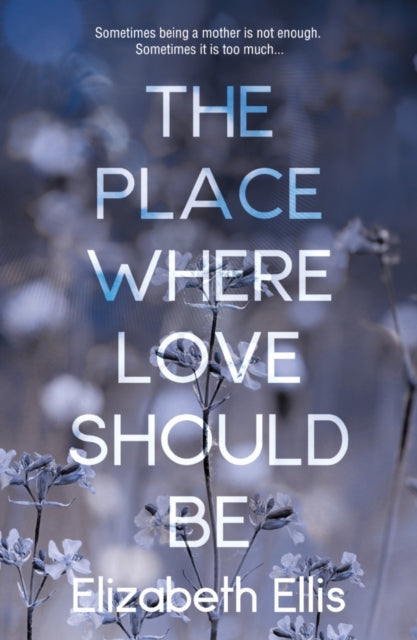 Book cover of: Place Where Love Should Be. By: Elizabeth Ellis