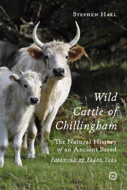 Book cover of: Wild Cattle of Chillingham. By: Stephen Hall