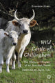 Book cover of: Wild Cattle of Chillingham. By: Stephen Hall