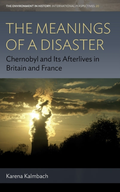 Book cover of: Meanings of a Disaster. By: Karena Kalmbach