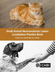 Book cover of: Small Animal Neuroanatomic Lesion Localization Practice Book. By: Heidi Barnes Heller