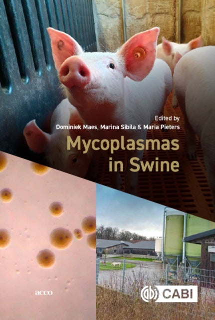 Book cover of: Mycoplasmas in Swine. By: Dominiek Maes