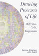 Book cover of: Drawing Processes of Life. By: Gemma Anderson