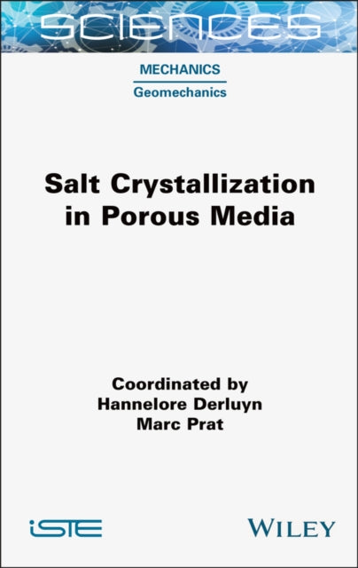 Book cover of: Salt Crystallization in Porous Media. By: Hannelore Derluyn