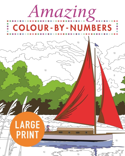 Book cover of: Amazing Colour-by-Numbers Large Print