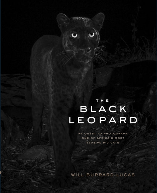 Book cover of: Black Leopard. By: Will Burrard-Lucas