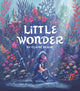 Book cover of: Little Wonder. By: Claire Keane