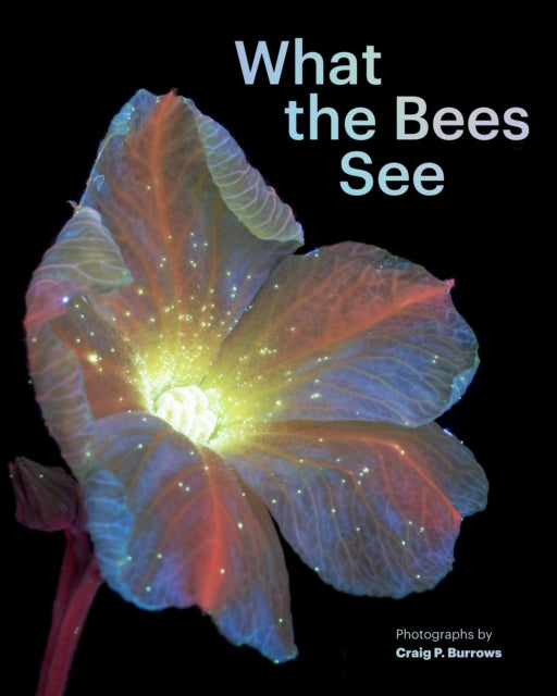 Book cover of: What the Bees See. By: Craig P. Burrows
