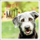 Book cover of: Love is a Mutt. By: Charlie Ellis