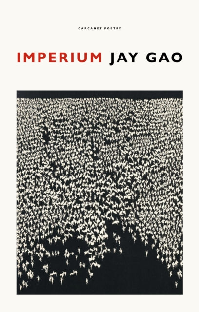 Book cover of: Imperium. By: GAO