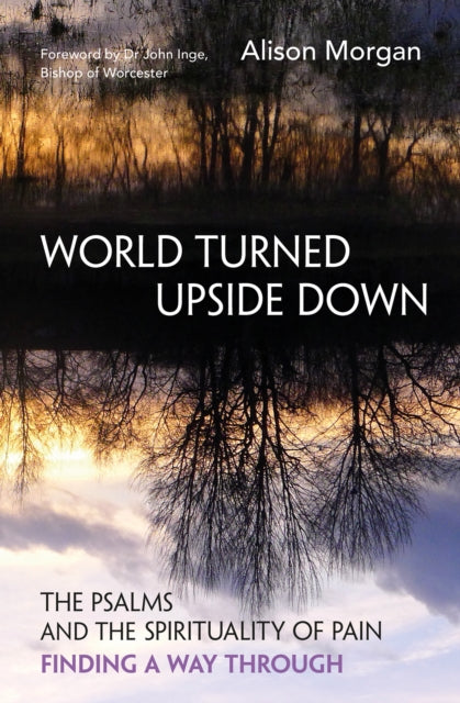 Book cover of: World Turned Upside Down. By: Alison Morgan