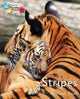 Book cover of: Stripes