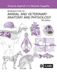 Introduction to Animal and Veterinary Anatomy and Physiology 9781800624047 Victoria Aspinall