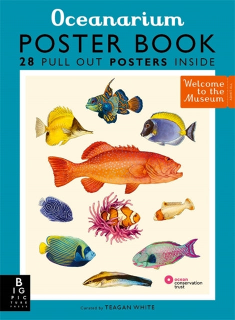 Book cover of: Oceanarium Poster Book