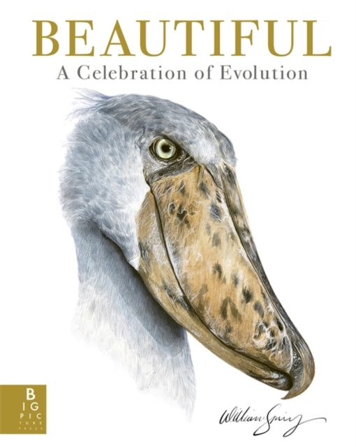 Book cover of: Beautiful. By: William Spring