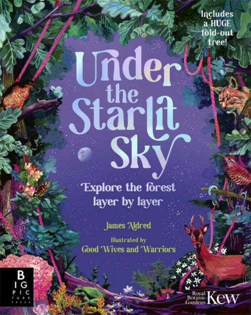 Book cover of: Under the Starlit Sky