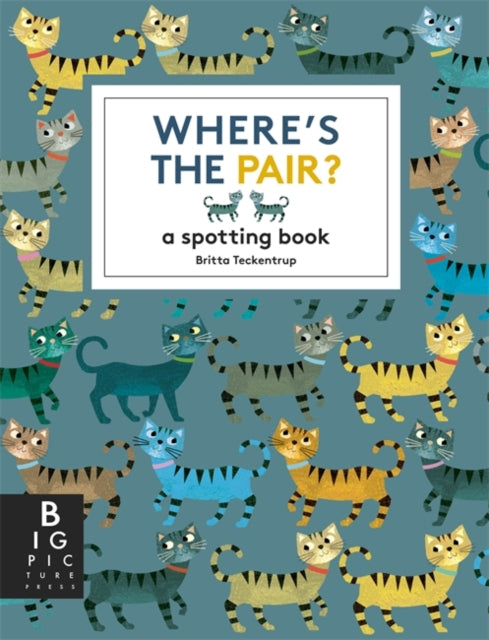 Where's the Pair?, A Spotting Book 9781800787872 Britta Teckentrup