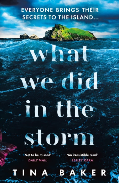 Book cover of: What We Did In The Storm. By: Tina Baker