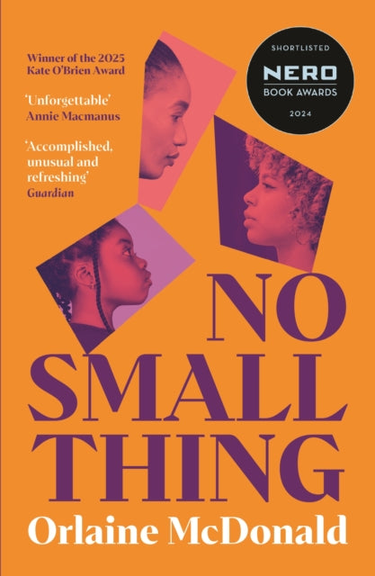 No Small Thing, 'One of the best debut novels I’ve read in recent years' Bernardine Evaristo 9781800815599 Orlaine McDonald