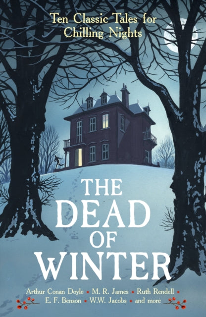 Book cover of: Dead of Winter. By: Cecily Gayford