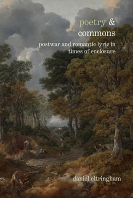 Book cover of: Poetry & Commons. By: Daniel Eltringham