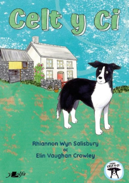 Book cover of: Celt y Ci. By: Rhiannon Salisbury