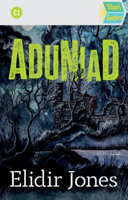 Book cover of: Stori Sydyn: Aduniad. By: Elidir Jones