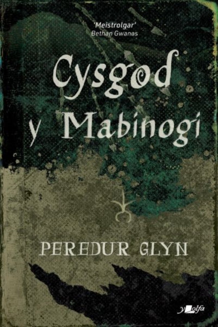Book cover of: Cysgod y Mabinogi