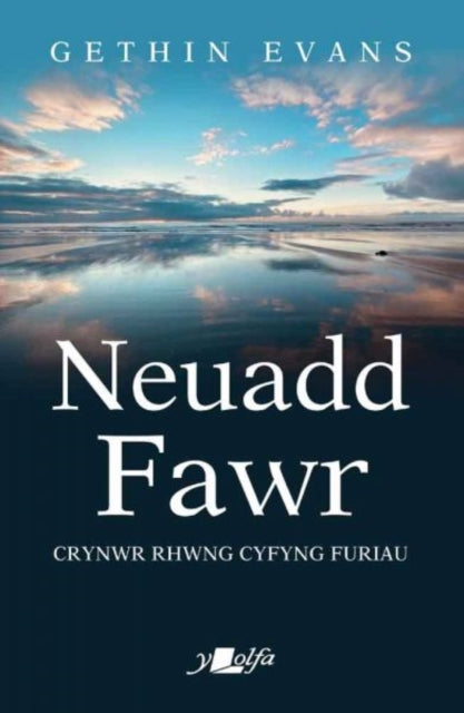 Book cover of: Neuadd Fawr