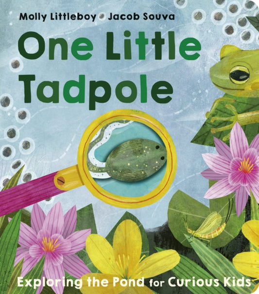 Book cover of: One Little Tadpole. By: Molly Littleboy