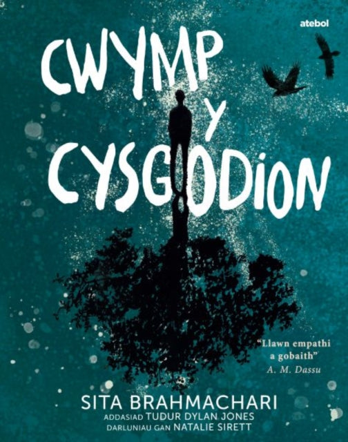 Book cover of: Darllen yn Well: Cwymp y Cysgodion