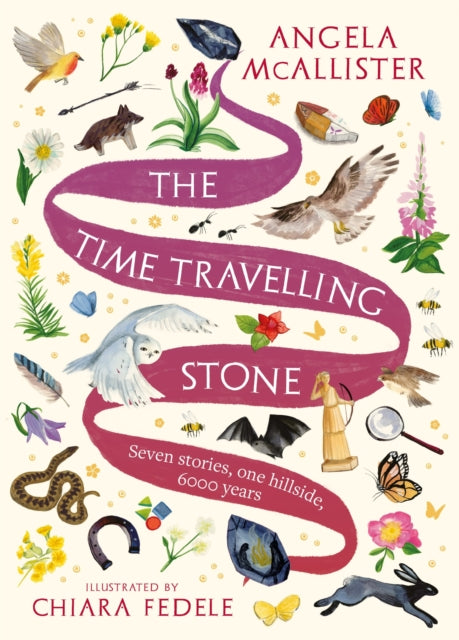 Book cover of: Time Travelling Stone. By: Angela McAllister