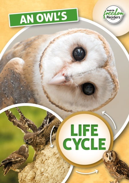 Book cover of: Owl's Life Cycle. By: Madeline Tyler; Danielle Rippengill