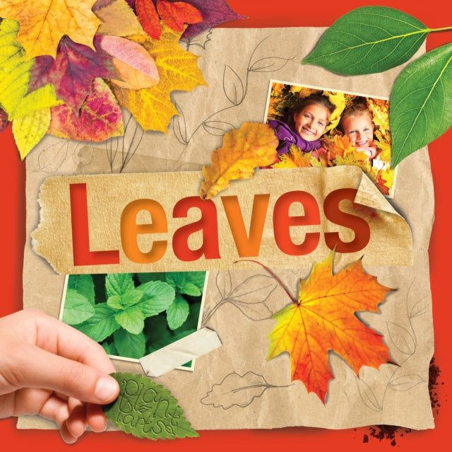 Book cover of: Leaves. By: Steffi Cavell-Clarke; Danielle Webster-J