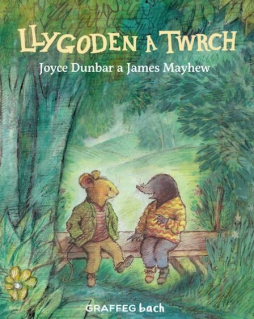 Book cover of: Llygoden a Twrch. By: Joyce Dunbar