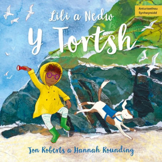 Book cover of: Lili a Nedw: Y Tortsh. By: Jon Roberts