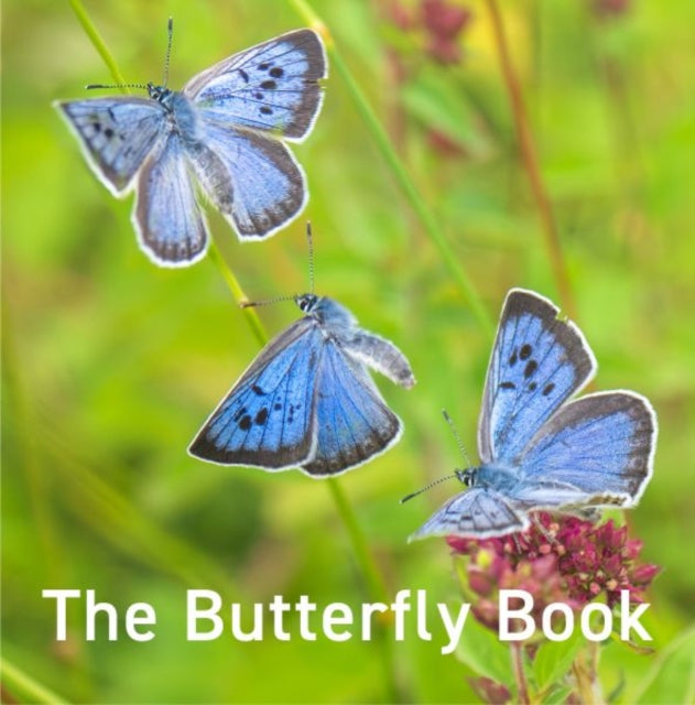 Nature Book Series: The Butterfly Book 9781802586541 Jane Russ