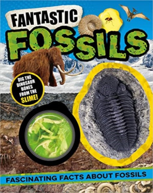 Book cover of: Non-Fiction Books Fantastic Fossils