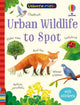 Urban Wildlife to Spot 9781803704746 Kate Nolan