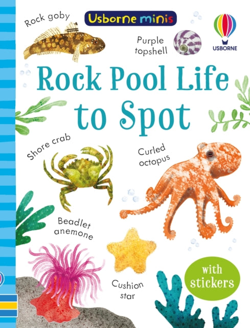 Book cover of: Rock Pool Life to Spot