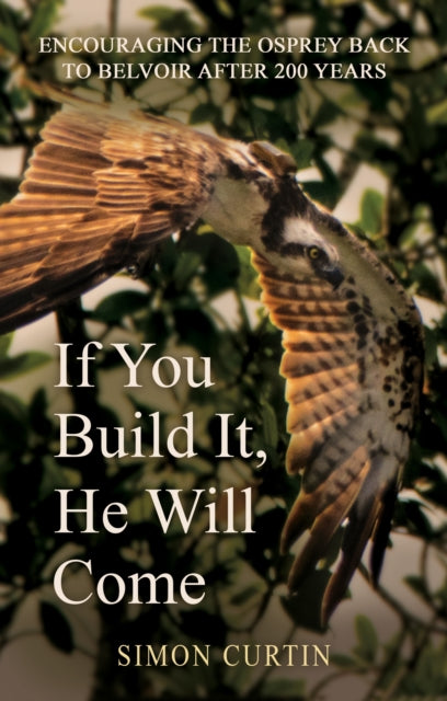 Book cover of: If You Build It, He Will Come