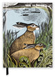 Book cover of: Angela Harding: Rathlin Hares (Blank Sketch Book). By: Flame Tree Studio