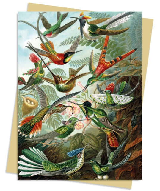 Book cover of: Ernst Haeckel: Hummingbirds Greeting Card Pack