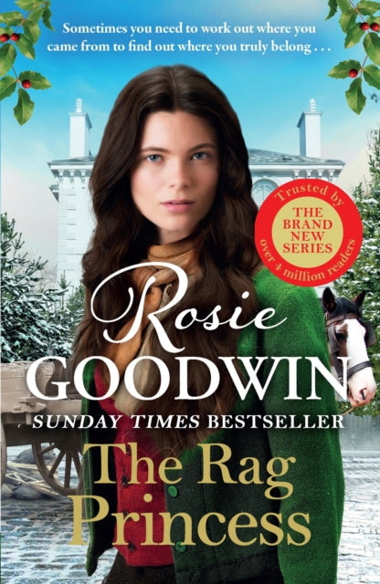 Book cover of: Rag Princess